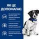 Сухой корм для собак Hill's Prescription Diet i/d Stress Mini уход за пищеварением - курица, 1 кг, Корм сухой, для малых пород, При проблемах пищеварения, Курица, Супер премиум