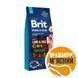 Сухой корм для собак с чувствительным пищеварением Brit Premium Dog Sensitive Lamb с ягненком, 15 кг, Корм сухой, Взрослые, С чувствительным пищеварением, Ягненок, Премиум, 859грн