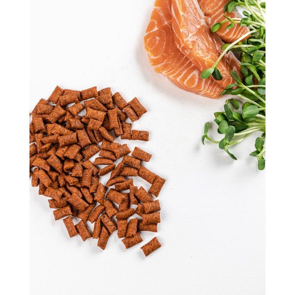 Лакомство для кошек Savory Snack Salmon 60 г (подушечки с лососем), 60 г, Лакомства, Взрослые, Для поощрения, Лосось, Холистик, 84грн