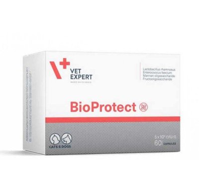 Харчова добавка VetExpert BioProtect при порушеннях роботи шлунково-кишкового тракту у котів і собак, 60 купсул, 60 капс, Вітаміни та добавки, всі стадії життя, При проблемах з кишечником, 836грн