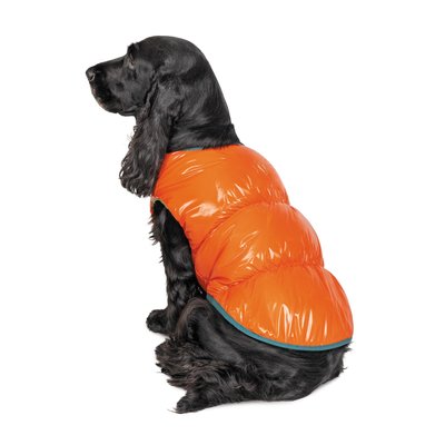 Жилет для собак Pet Fashion «Spring» - помаранчевий, XS2, Одяг, Жилети та попони, XS2
