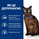 Сухий корм для котів Hill’s Prescription Diet m/d при цукровому діабеті - курка, 1.5 кг, Корм сухий, Дорослі, При цукровому діабеті, Курка, Супер преміум, 1027грн