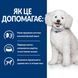 Сухой корм для собак Hill&rsquo;s Prescription Diet k/d Early Stage для поддержания функции почек, 1.5 кг, Корм сухой, Взрослые, При проблемах с почками, Асорти, Супер премиум