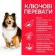 Сухий корм для собак Hill&rsquo;s Science Plan Adult Sensitive Stomach&Skin Medium Breed - курка, 2.5 кг, Корм сухий, Дорослі, З чутливим травленням, Курка, Супер преміум