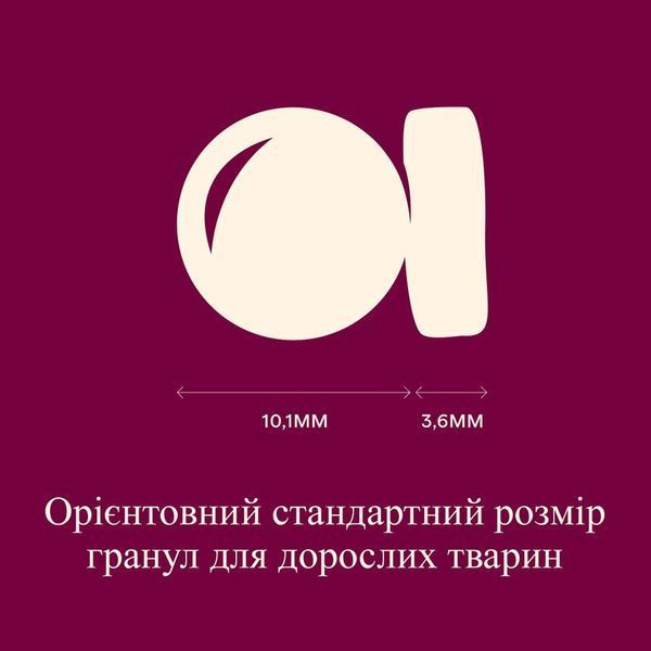 Корм сухий Carnilove Active Salmon & Turkey для котів лосось та індичка, 400 г, Корм сухий, Дорослі, Основний корм, Лосось, Холістік, 96грн