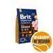 Сухой корм для пожилых собак мелких и средних пород весом до 25 кг Brit Premium Dog Senior S+M 3 кг с курицей, 3 кг, Корм сухой, Пожилые, Основной корм, Курица, Премиум, 151грн