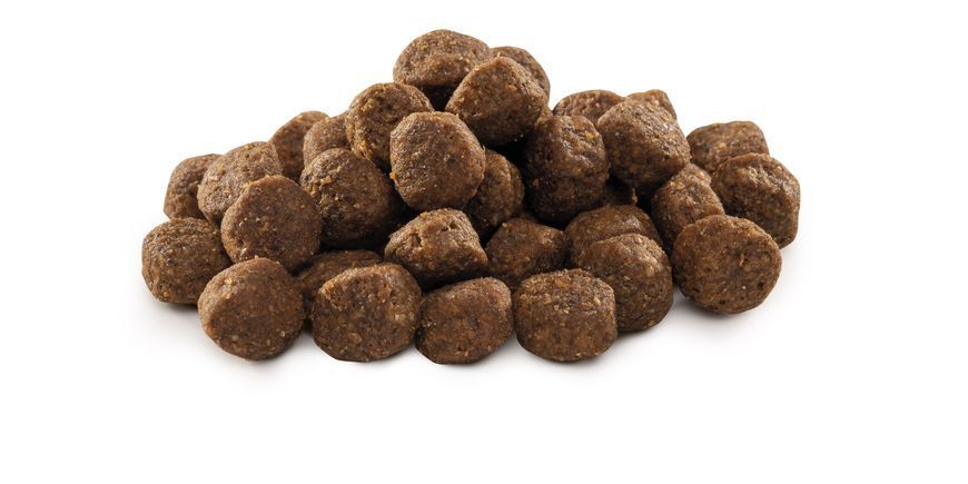 Сухой корм для пожилых собак мелких и средних пород весом до 25 кг Brit Premium Dog Senior S+M 3 кг с курицей, 3 кг, Корм сухой, Пожилые, Основной корм, Курица, Премиум, 151грн