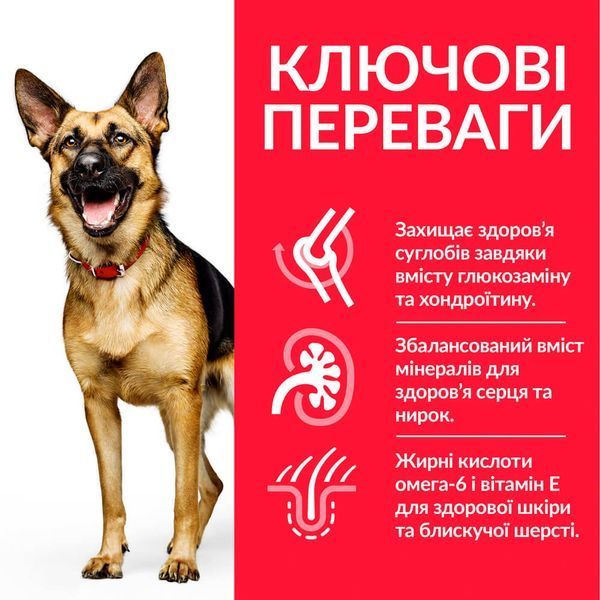 Сухой корм для собак Hill's Science Plan MATURE ADULT 6+ Large - курица, 14 кг, Корм сухой, Пожилые, При выздоровлении, Курица, Супер премиум