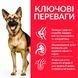 Сухой корм для собак Hill's Science Plan MATURE ADULT 6+ Large - курица, 14 кг, Корм сухой, Пожилые, При выздоровлении, Курица, Супер премиум