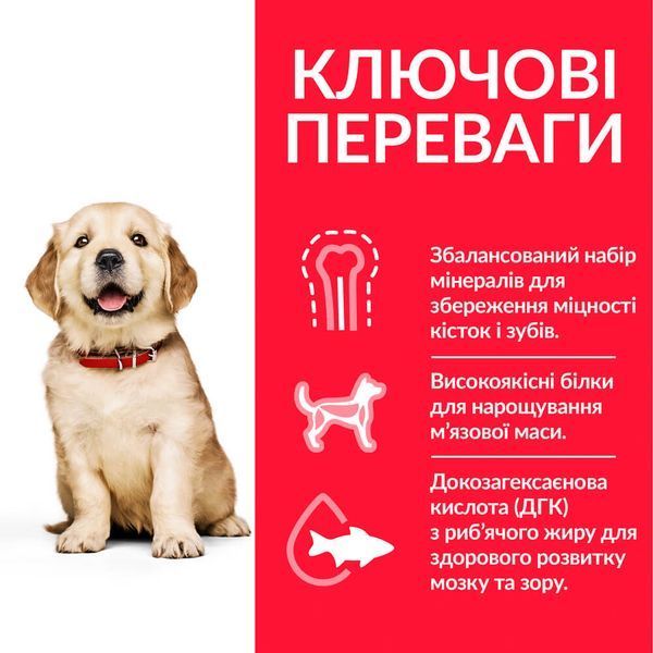 Сухий корм для цуценят Hill&rsquo;s Science Plan Puppy Large Breed - курка, 2.5 кг, Корм сухий, Цуценята, Основний корм, Курка, Супер преміум