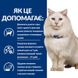 Сухой корм для кошек Hill’s Prescription Diet Urinary Care c/d Multicare Stress уход за мочевыделительной системой при действии стрессовых факторов - курица, 400 г, Корм сухой, Взрослые, При проблемах с мочевыделительной системой, Курица, Супер премиум, 307грн