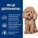 Сухий корм для собак Hill&rsquo;s Prescription Diet Gastrointestinal Biome Mini для собак малих порід при захворюваннях шлунково-кишкового тракту- курка, 1 кг, Корм сухой, для малых пород, При проблемах пищеварения, Курица, Супер премиум