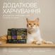 Лакомство для кошек Savory Chicken and Cheese Snack 180 г - курица и сыр, 180 г, Лакомства, Взрослые, С чувствительным пищеварением, Курица, 40грн