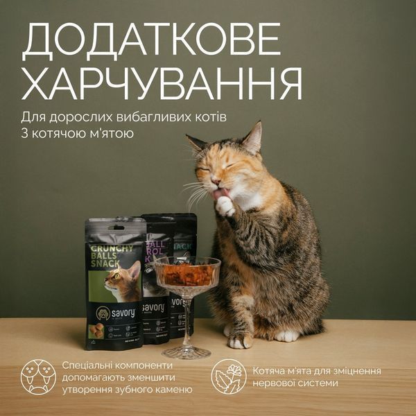 Хрумкі ласощі Savory Cats Snacks Crunchy Balls для дорослих вибагливих котів, кульки з котячою м&rsquo;ятою, 60 г, 60 г, Ласощі, Дорослі, Для заохочення, Курка, 23грн