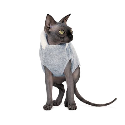 Свитер для кота Pet Fashion «CAT» меланж, XXS, Одежда, Свитера, 239грн, XXS