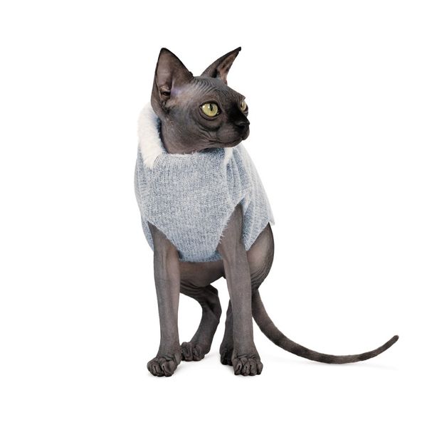 Светр для кота Pet Fashion «CAT» меланж, XXS, Одяг, Светри, 239грн, XXS