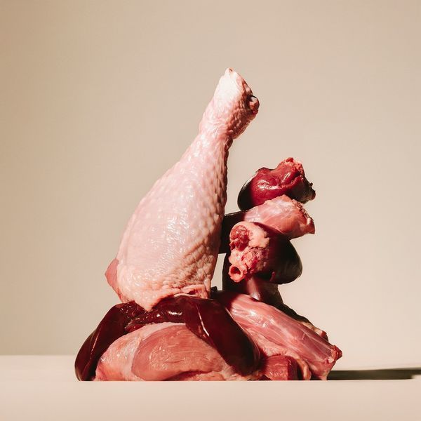 Корм сухой Carnilove True Fresh Turkey для собак индейка, 1,5кг, Корм сухой, Взрослые, Основной корм, Индейка, Холистик, 240грн
