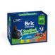 Влажный корм Brit Premium Cat Набор паучей семейная тарелка для стерилизованных кошек, ассорти 4 вкуса, 100 г х 12 шт, 4 х 100 г, Корм влажный, Взрослые, Для стерилизованных, Асорти, Премиум, 91грн