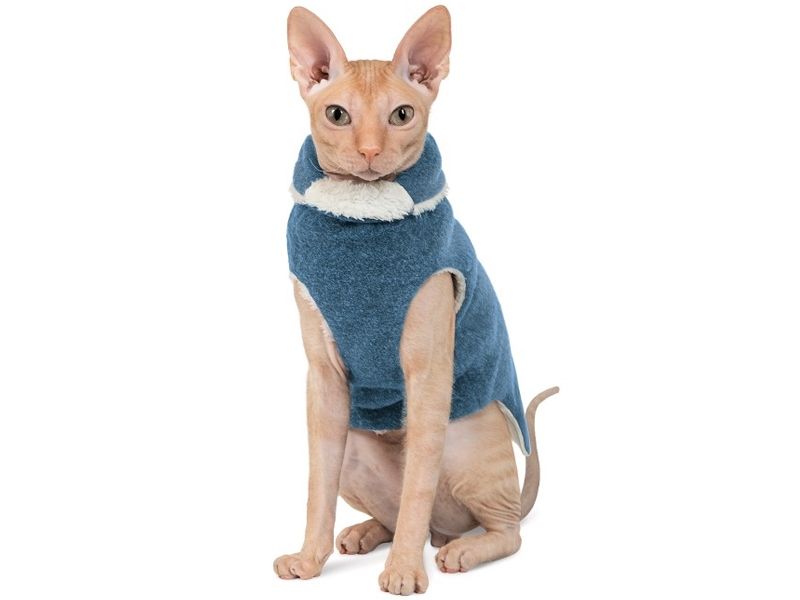 Свитер для кота Pet Fashion «CAT» бирюзовый, S, Одежда, Свитера, 267грн, S