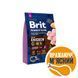 Сухой корм для щенков и юниоров мелких пород весом до 10 кг Brit Premium Dog Junior S с курицей, 3 кг, Корм сухой, Щенок, Основной корм, Курица, Премиум, 179грн