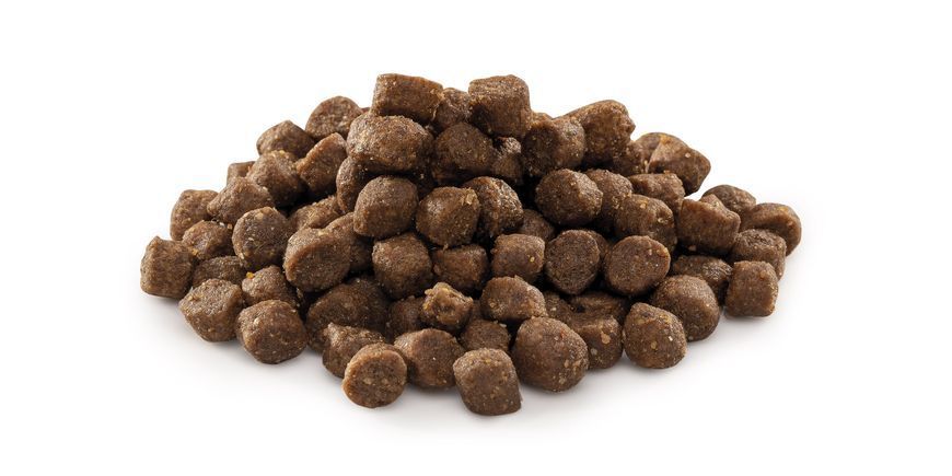Сухой корм для щенков и юниоров мелких пород весом до 10 кг Brit Premium Dog Junior S с курицей, 3 кг, Корм сухой, Щенок, Основной корм, Курица, Премиум, 179грн