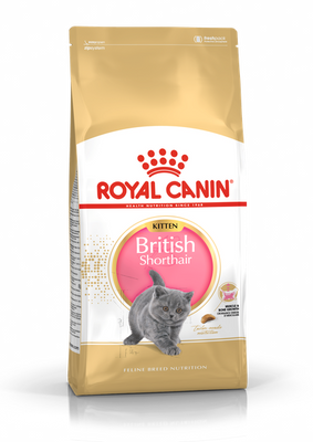 Сухий корм для кошенят породи британська короткошерста Royal Canin Kitten British Shorthair (домашня птиця), 400 г, Корм сухий, Кошенята, Основний корм, Домашня птиця, Супер преміум, 212грн